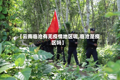【云南临沧有无疫情地区呢,临沧是疫区吗】